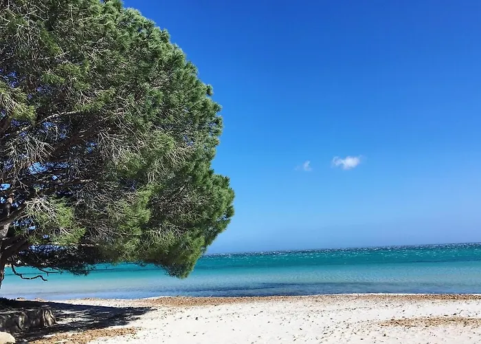 Proche Des Belles Plages Διαμέρισμα