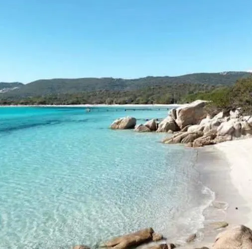 Proche Des Belles Plages *